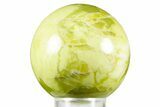 Polished Noble Serpentine Sphere - Washington #370909-1